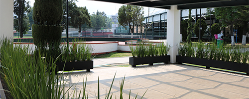 Deportivo-San-Fernando-ISSSTE